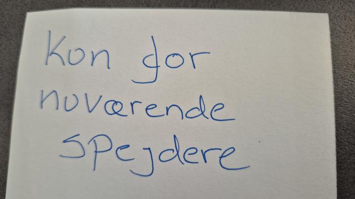 Kun for nuværende mini spejder 